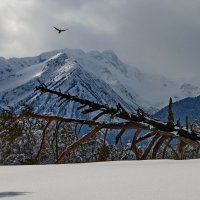 В горах К. - Ч. - Р - 4 :: Анатолий Стрельченко В горах К. - Ч. - Р - 4 :: Анатолий Стрельченко