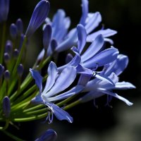 Доброе утро :: Юрий. Шмаков