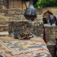 В Персидской цитадели.. :: Лилия .