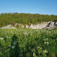 АЛЬПИЙСКИЕ ЛУГА ЛАГОНАКИ :: Tata Wolf