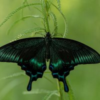 3 :: Сергей Флетчер