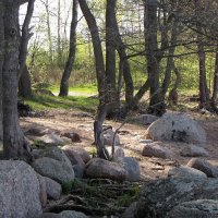 Весенний пейзаж :: Александр Ильчевский Весенний пейзаж :: Александр Ильчевский