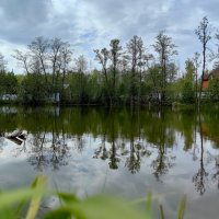 Май в деревне :: Светлана 13.06.