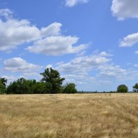 Лето в степи. :: Виктор 