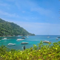 Симиланы :: Renkse L.J.