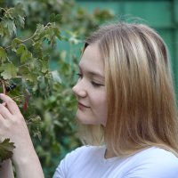 Ягодки :: Сергей 