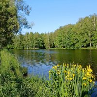 Июньский пейзаж. :: Лия ☼ Июньский пейзаж. :: Лия ☼