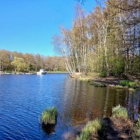 Солнечный май. :: Лия ☼ Солнечный май. :: Лия ☼