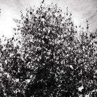 Назва. отсу. :: Денис Безногов