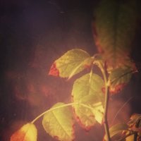 ... ... :: Руслан 