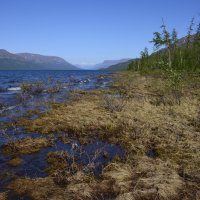 ** :: Александр Хаецкий ** :: Александр Хаецкий