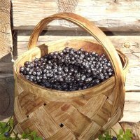 Ягодное лето! :: Нина Андронова