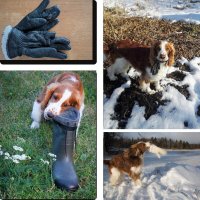 Про запах любимого человека :: liudmila drake Про запах любимого человека :: liudmila drake