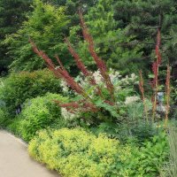 Подлечилась, зарядилась, надо возвращаться в городскую суету. :: Татьяна Помогалова Подлечилась, зарядилась, надо возвращаться в городскую суету. :: Татьяна Помогалова