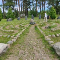 В Ботаническом саду Петрозаводска :: Ирэн 