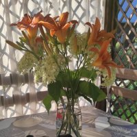 С днём фотографа, дорогие мои коллеги по сайту! :: Татьяна Лютаева