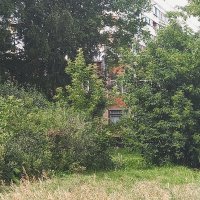 Дом, что спрятался, в кустах. :: Игорь Солдаткин