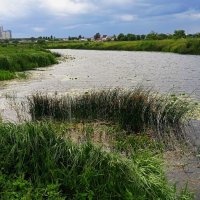 Усманка прекрасная окраина :: Елена Шаламова Усманка прекрасная окраина :: Елена Шаламова