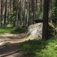 Лесной пейзаж :: Александр Ильчевский Лесной пейзаж :: Александр Ильчевский