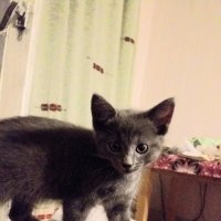 первые дни в доме... :: Галина Флора первые дни в доме... :: Галина Флора