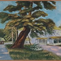 Поклонный вяз. :: ИРЭН@ . Поклонный вяз. :: ИРЭН@ .