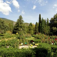 Розарий Никитского ботанического сада :: Ольга Розарий Никитского ботанического сада :: Ольга