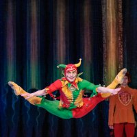 Балет "Лебединое озеро" :: Марк Еленцов