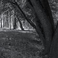 ***** :: юрий поляков