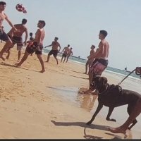 ЛЕ БО 3 (73) :: CLOSE WAYS ALL ЛЕ БО 3 (73) :: CLOSE WAYS ALL