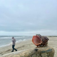 Черное море :: А  И М