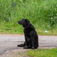 Потеряшка :: Вадим Потеряшка :: Вадим