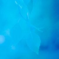 ******* :: Валентина M