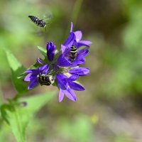 Лето - это маленькая жизнь :: Ольга 