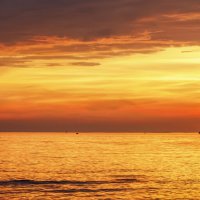 Про Питер :: Владимир Колесников