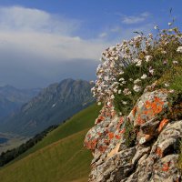 В горах К.-Ч. Р - 5 :: Анатолий Стрельченко В горах К.-Ч. Р - 5 :: Анатолий Стрельченко