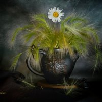 Лето пришло. :: Галина Левина