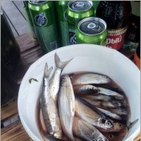 Натюрморт рыбака. :: Ольга Довженко Натюрморт рыбака. :: Ольга Довженко