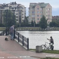 Утро на мосту. :: Валерия Комова