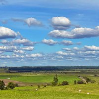 Aumeisteri 120725 m :: Arturs Ancans Aumeisteri 120725 m :: Arturs Ancans