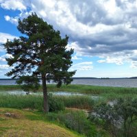 Селигер :: Наталья 