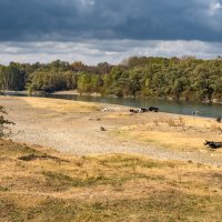 Река Кубань :: Игорь Сикорский Река Кубань :: Игорь Сикорский