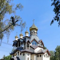 Рощино. Церковь Николая Чудотворца. :: Ольга 