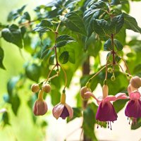 3875 :: Alex . 3875 :: Alex .