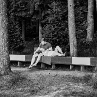 В темном лесу... :: emelka2 В темном лесу... :: emelka2