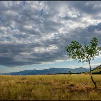 Ветер :: **** vedin