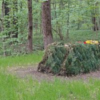 Могила Толстого. :: ИРЭН@ .