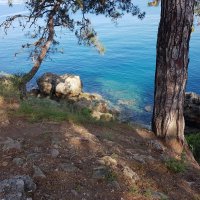 *** :: Геннадий. Э.