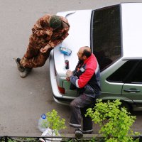 СЕМЕЧКИ :: Виктор Никитенко СЕМЕЧКИ :: Виктор Никитенко