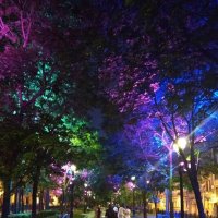 Жизнь в красках :: Натали 