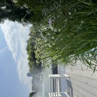 Летнее дыхание города ! :: Анна Камс